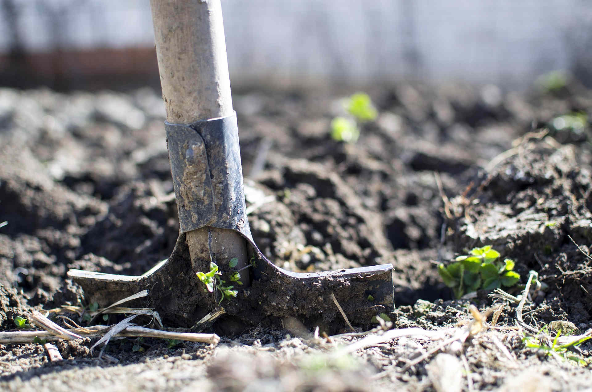 How to remove soil